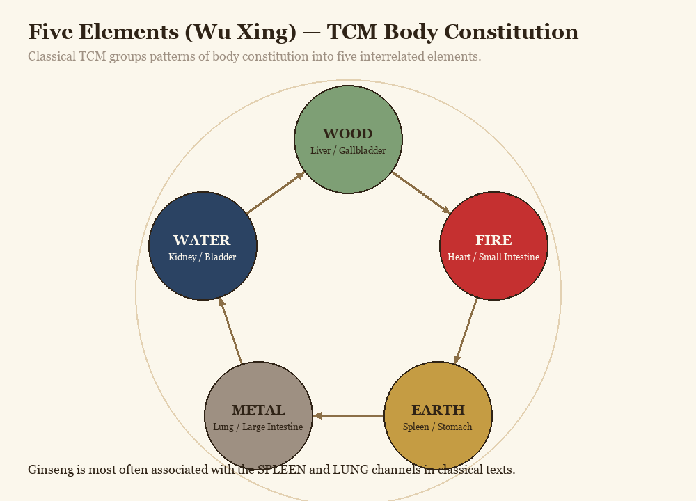 A simplified view of TCM body constitution patterns